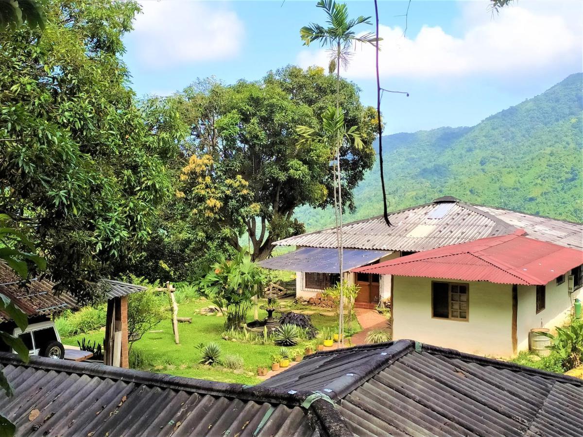 Finca Hostal Bolivar - Casa Quinta Мінка Екстер'єр фото