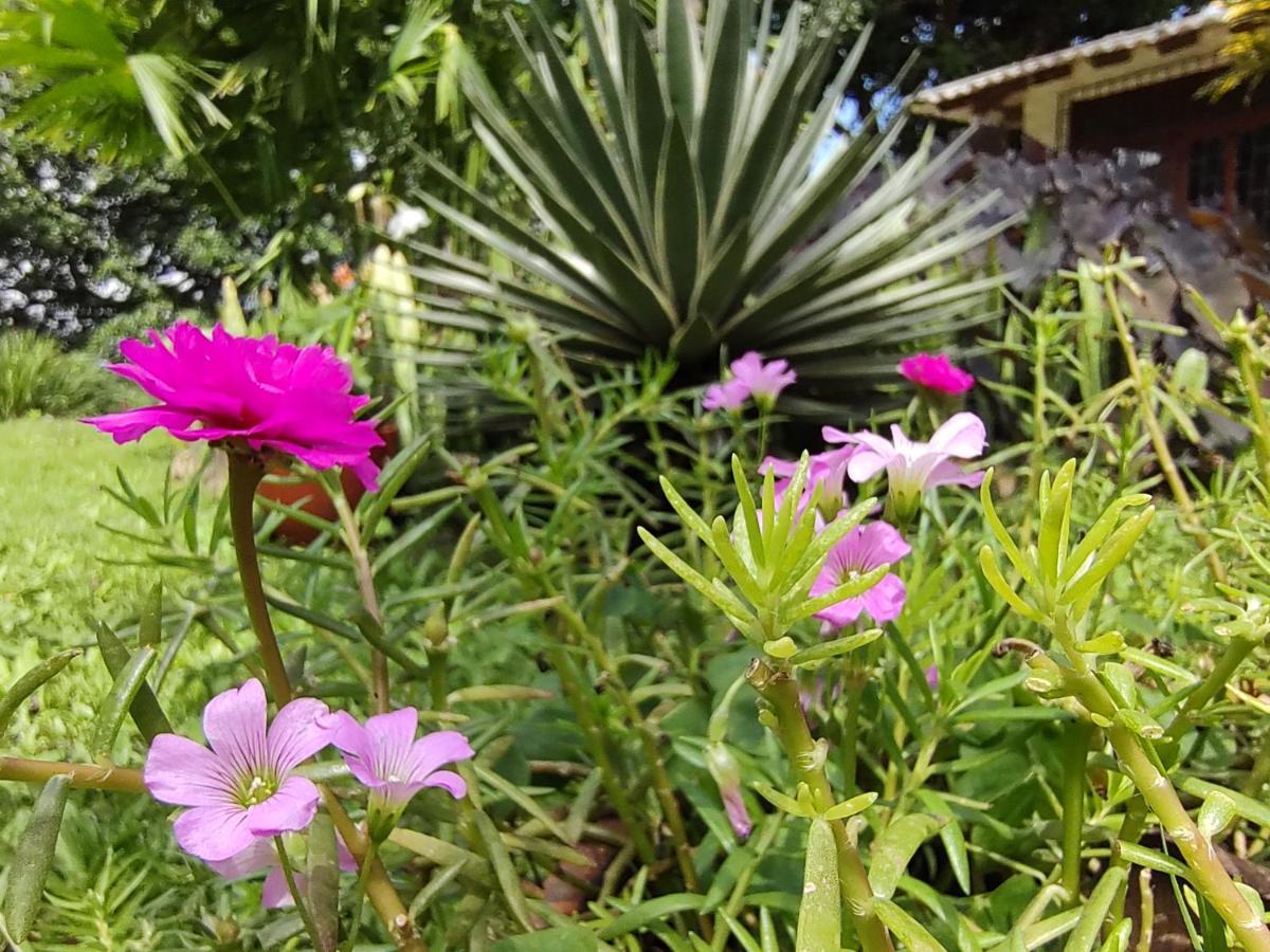 Finca Hostal Bolivar - Casa Quinta Мінка Екстер'єр фото